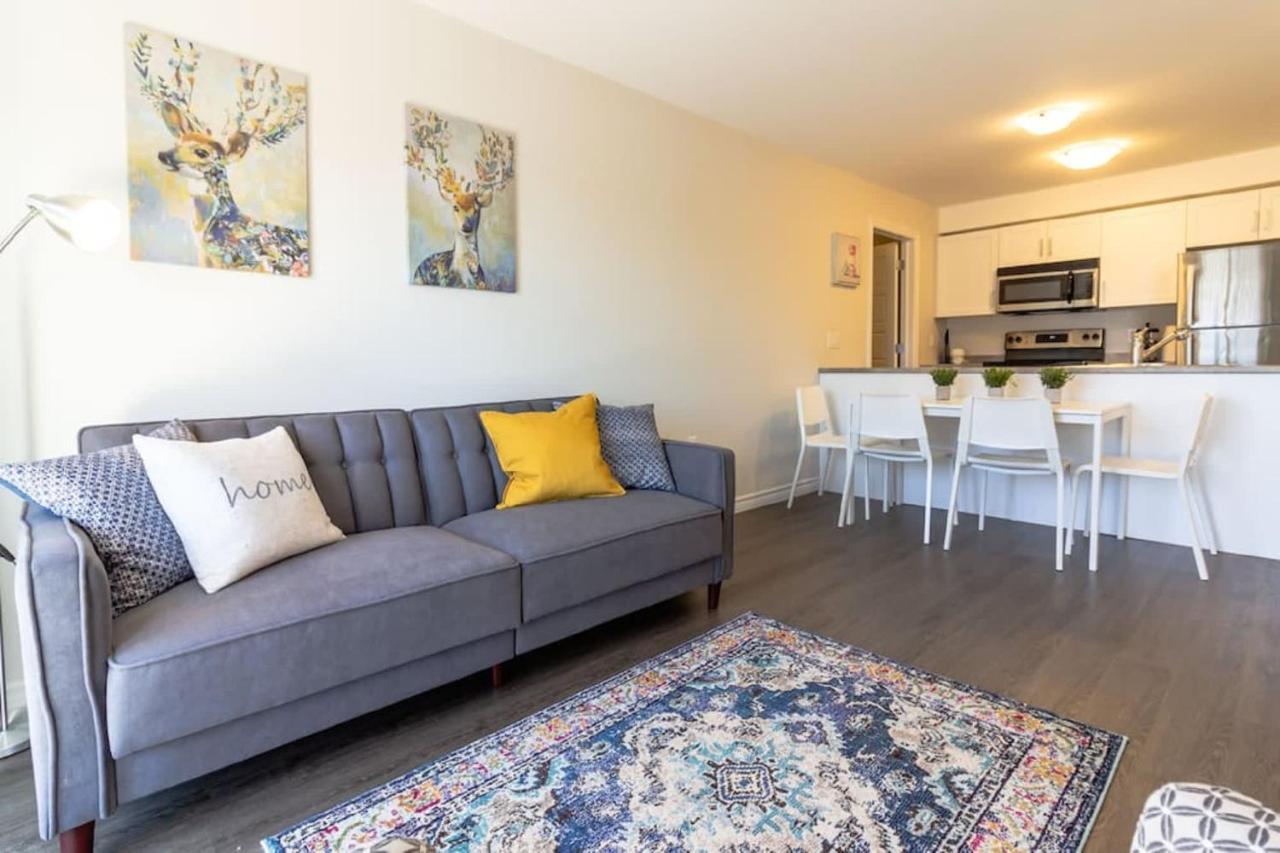 Newly Renovated Modern Condo Near Hospital, Unb Patio & Parking Coffee Saint John Eksteriør bilde