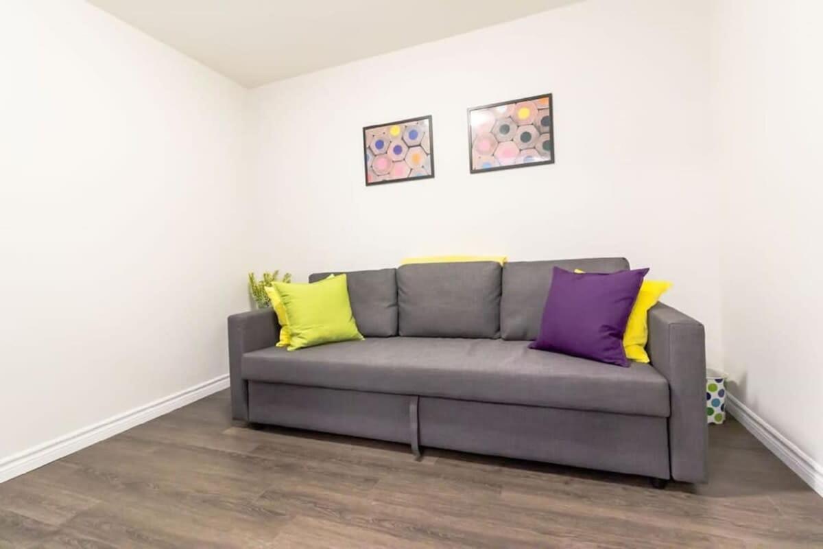 Newly Renovated Modern Condo Near Hospital, Unb Patio & Parking Coffee Saint John Eksteriør bilde