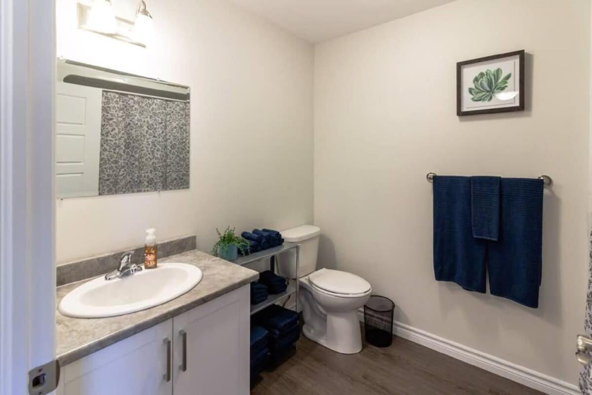 Newly Renovated Modern Condo Near Hospital, Unb Patio & Parking Coffee Saint John Eksteriør bilde