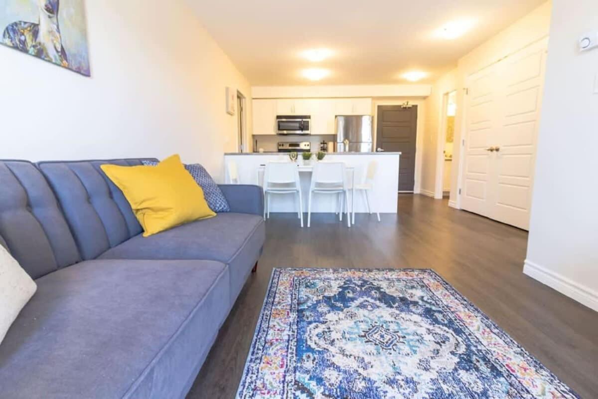 Newly Renovated Modern Condo Near Hospital, Unb Patio & Parking Coffee Saint John Eksteriør bilde